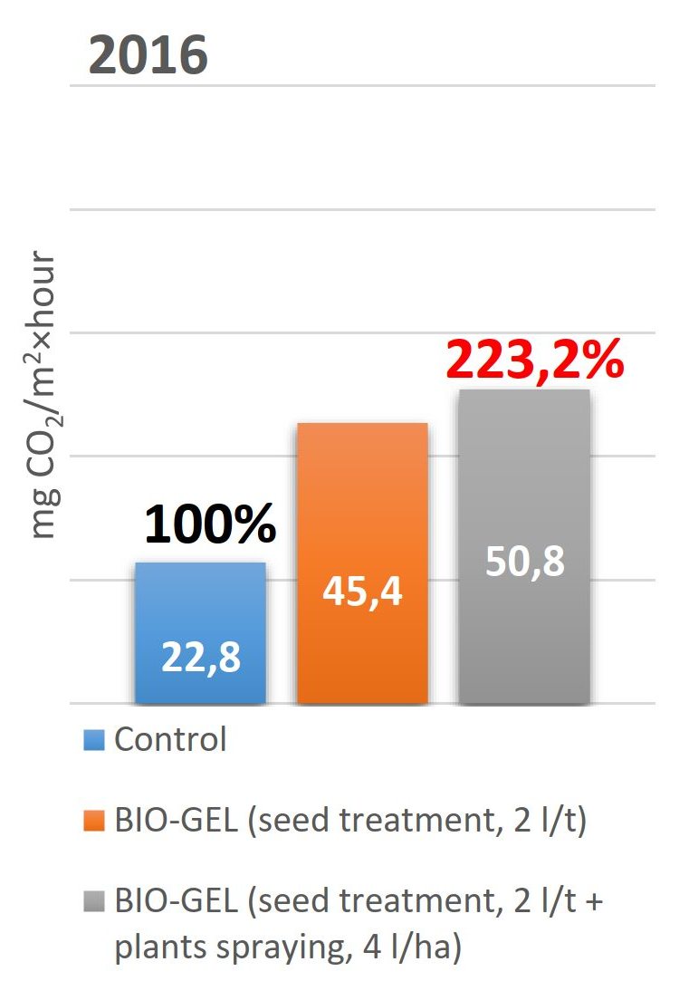 biogel-effect-2